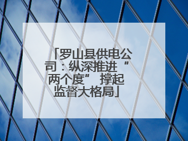 罗山县供电公司：纵深推进“两个度” 撑起监督大格局